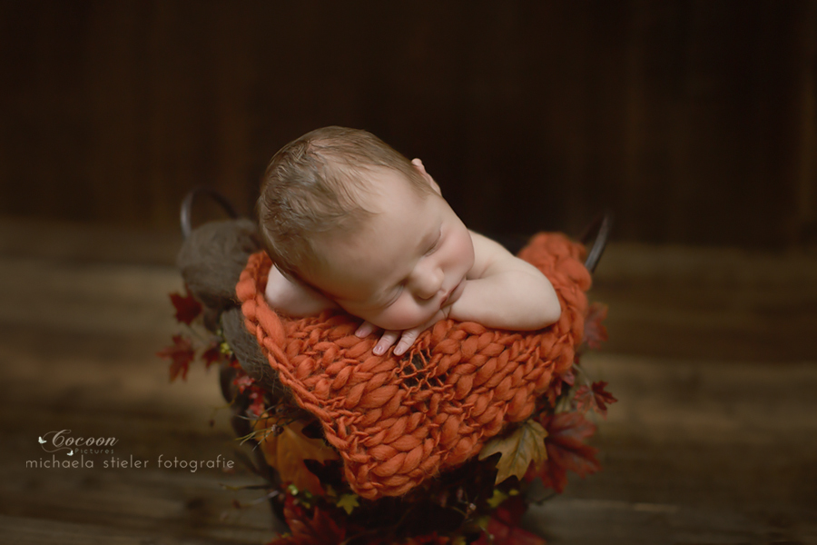 Michaela Stieler Kinder cocoon pictures Kinderfotografie Fotograf Neugeborene Babyfotografie Bremen Oldenburg Hamburg Verden Hannover Baby Neugeborenenfotografie Kinderfotos Fotografie Babyfotos