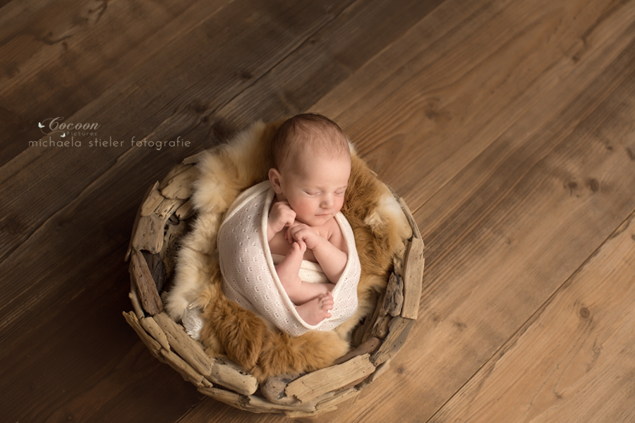 Michaela Stieler Kinder cocoon pictures Kinderfotografie Fotograf Neugeborene Babyfotografie Bremen Oldenburg Hamburg Verden Hannover Baby Neugeborenenfotografie Familienfotos Kinderfotos Fotografie Babyfotos